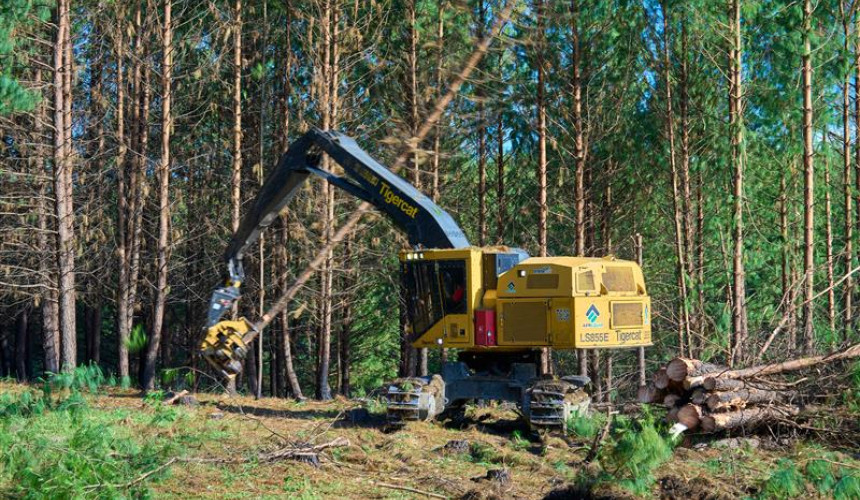 Všeobecné obchodné podmienky spoločnosti SLOVWOOD Ružomberok platné pre ťažbu drevnej hmoty v poraste od 01.12.2025 Všeobecné obchodné podmienky spoločnosti SLOVWOOD Ružomberok platné pre ťažbu drevnej hmoty v poraste od 01.12.2025